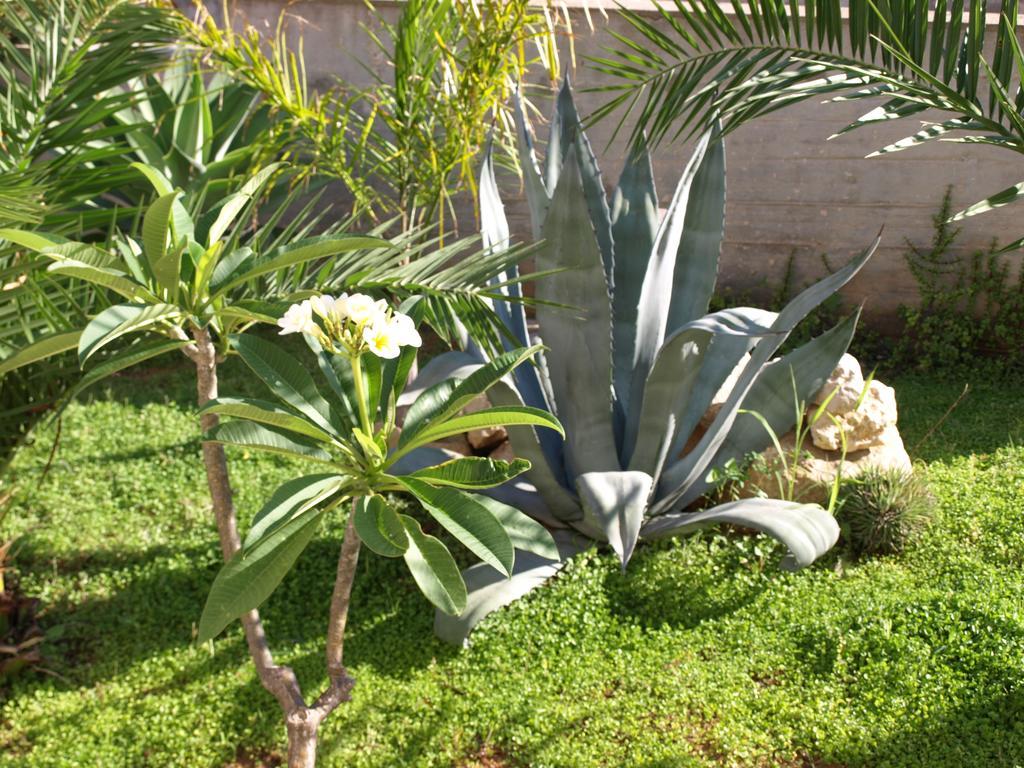Guesthouse Anchise 38 بيزولونغو المظهر الخارجي الصورة