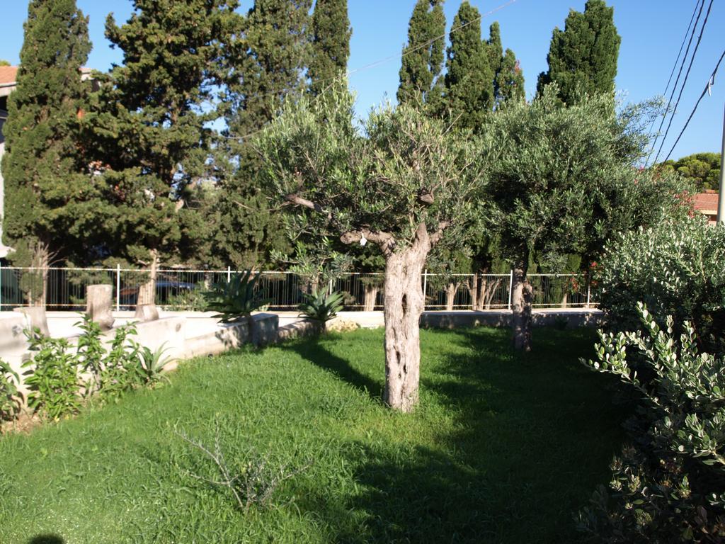 Guesthouse Anchise 38 بيزولونغو المظهر الخارجي الصورة